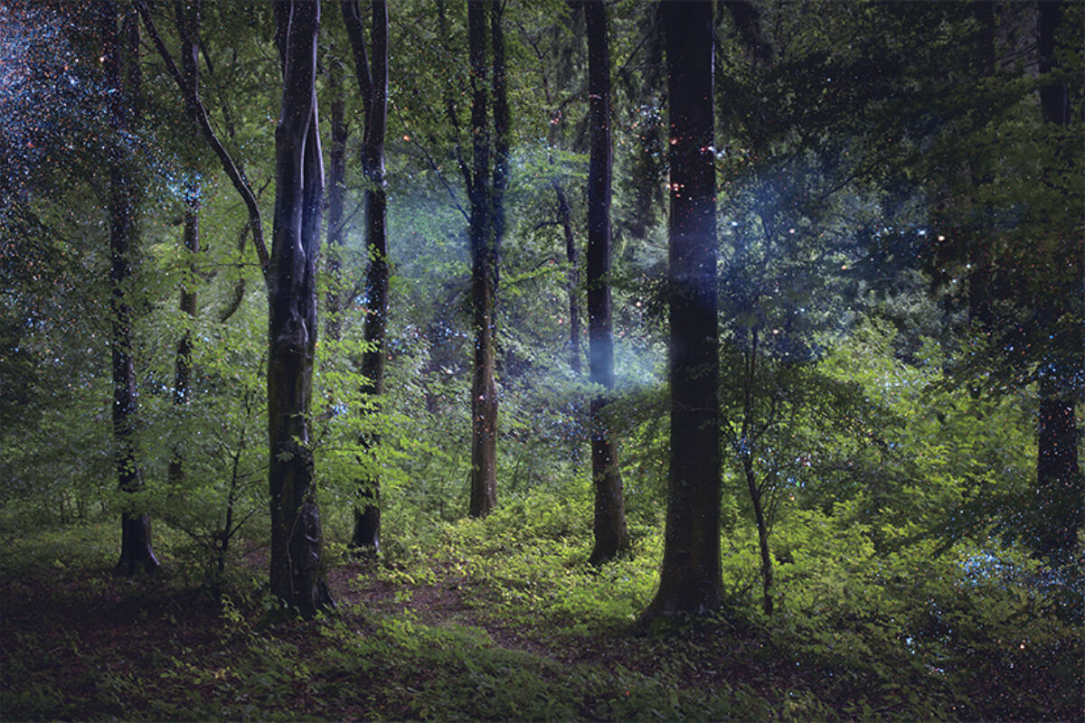 Ellie Davies, Stars 9, 2014-2015 Fotografie © Ellie Davies / Courtesy of A.galerie, Paris @agalerieparis