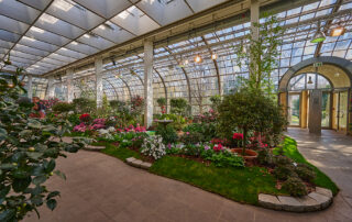 Palmengarten Frühling Kamelien_Azaleen /Foto: Palmengarten