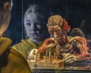 KÖRPERWELTEN / KW-Impression_01_©koerperwelten