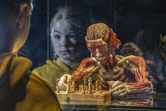 KW-Impression_01_©koerperwelten KÖRPERWELTEN / KW-Impression_01_©koerperwelten